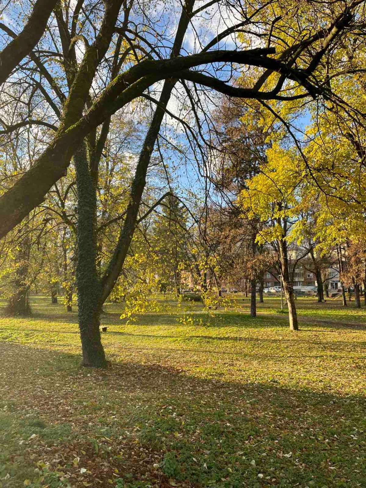 Park Apartment Фоча Экстерьер фото